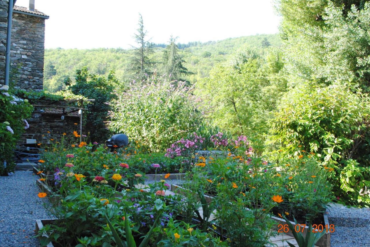 Alberguiere - Piscine Chauffee - Plancha - Barbecue Sainte-Croix-Vallee-Francaise Bagian luar foto